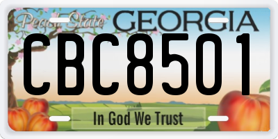 GA license plate CBC8501