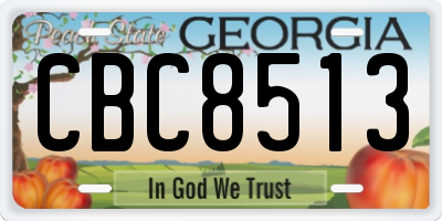 GA license plate CBC8513