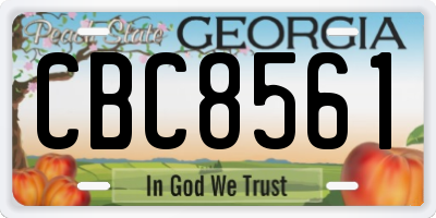 GA license plate CBC8561