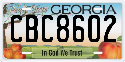 GA license plate CBC8602