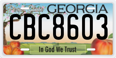 GA license plate CBC8603