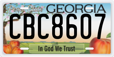 GA license plate CBC8607