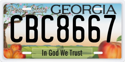 GA license plate CBC8667