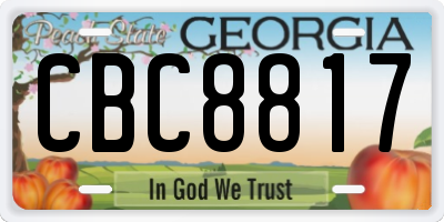 GA license plate CBC8817