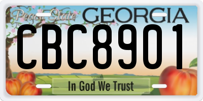 GA license plate CBC8901