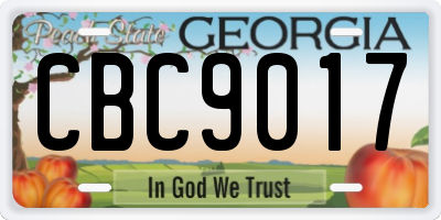 GA license plate CBC9017