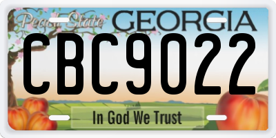 GA license plate CBC9022