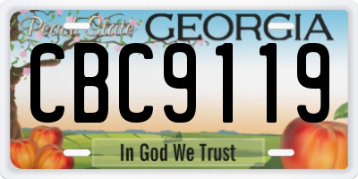 GA license plate CBC9119