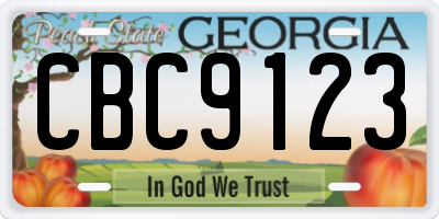 GA license plate CBC9123