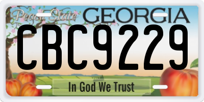 GA license plate CBC9229