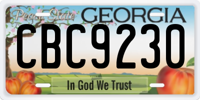 GA license plate CBC9230