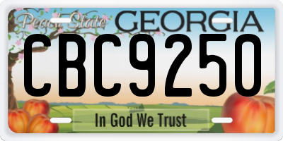 GA license plate CBC9250