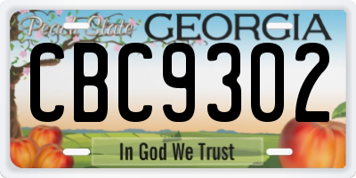 GA license plate CBC9302