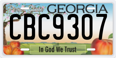 GA license plate CBC9307
