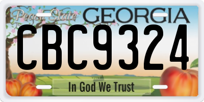 GA license plate CBC9324