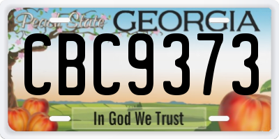 GA license plate CBC9373