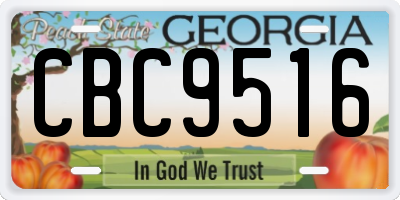 GA license plate CBC9516