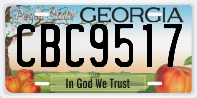 GA license plate CBC9517