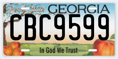 GA license plate CBC9599