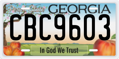 GA license plate CBC9603