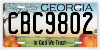 GA license plate CBC9802