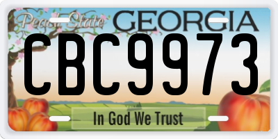 GA license plate CBC9973