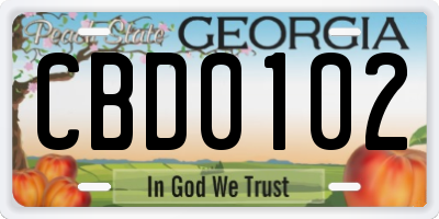 GA license plate CBD0102
