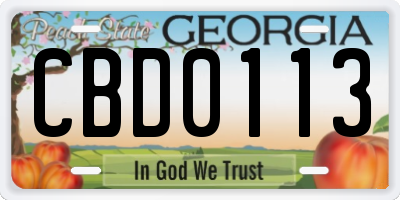 GA license plate CBD0113