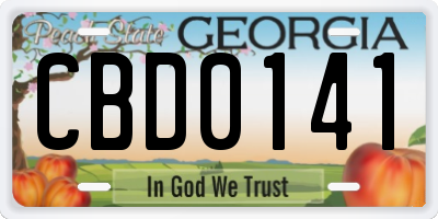 GA license plate CBD0141