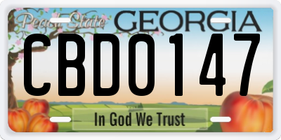 GA license plate CBD0147