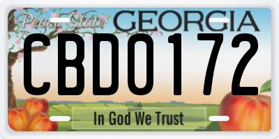 GA license plate CBD0172