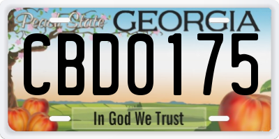 GA license plate CBD0175