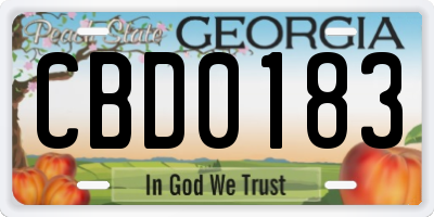 GA license plate CBD0183