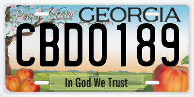 GA license plate CBD0189
