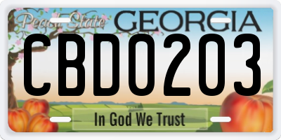 GA license plate CBD0203