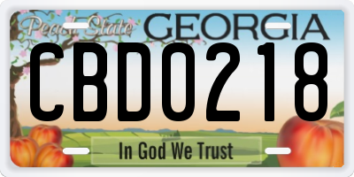 GA license plate CBD0218
