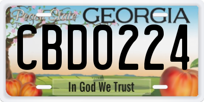 GA license plate CBD0224