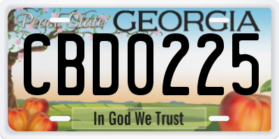 GA license plate CBD0225