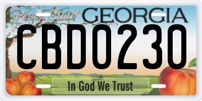 GA license plate CBD0230