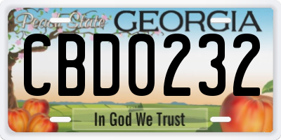 GA license plate CBD0232