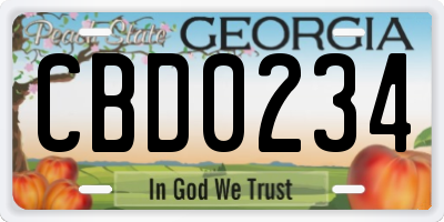 GA license plate CBD0234
