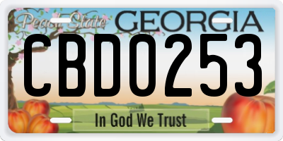 GA license plate CBD0253