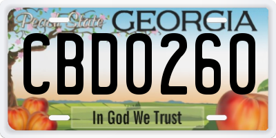 GA license plate CBD0260