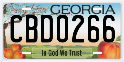 GA license plate CBD0266
