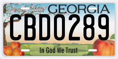 GA license plate CBD0289