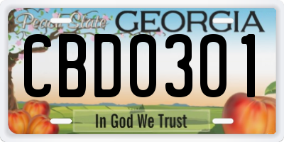 GA license plate CBD0301