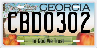 GA license plate CBD0302