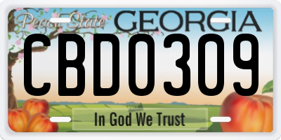 GA license plate CBD0309