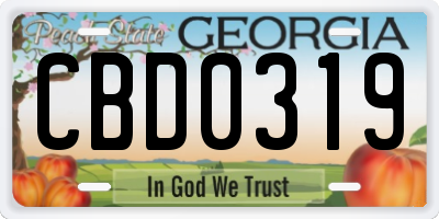 GA license plate CBD0319