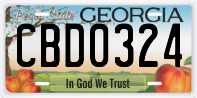 GA license plate CBD0324